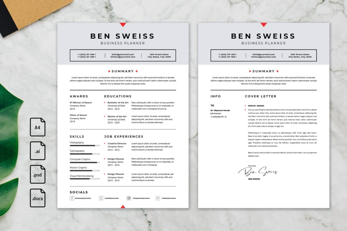 CV Resume - Business Planner Profile