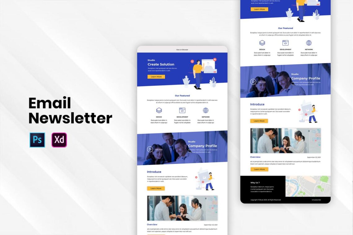 development solution studio email newsletter 1