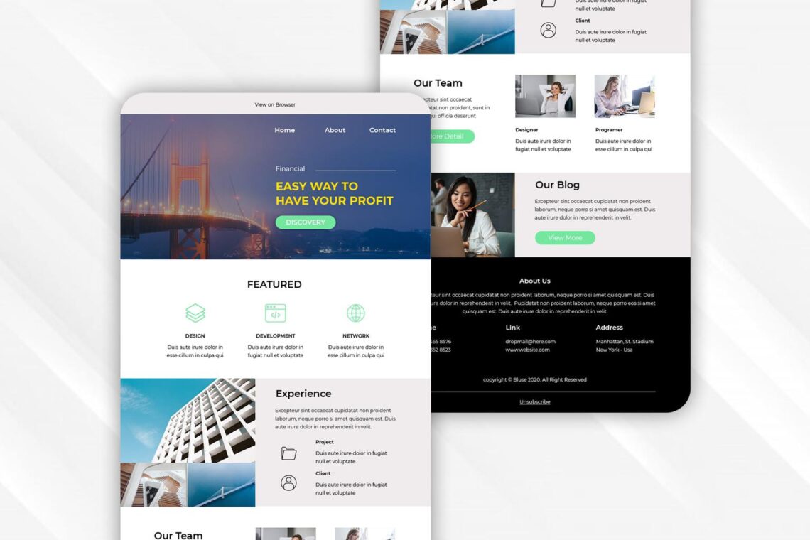 network development project email newsletter