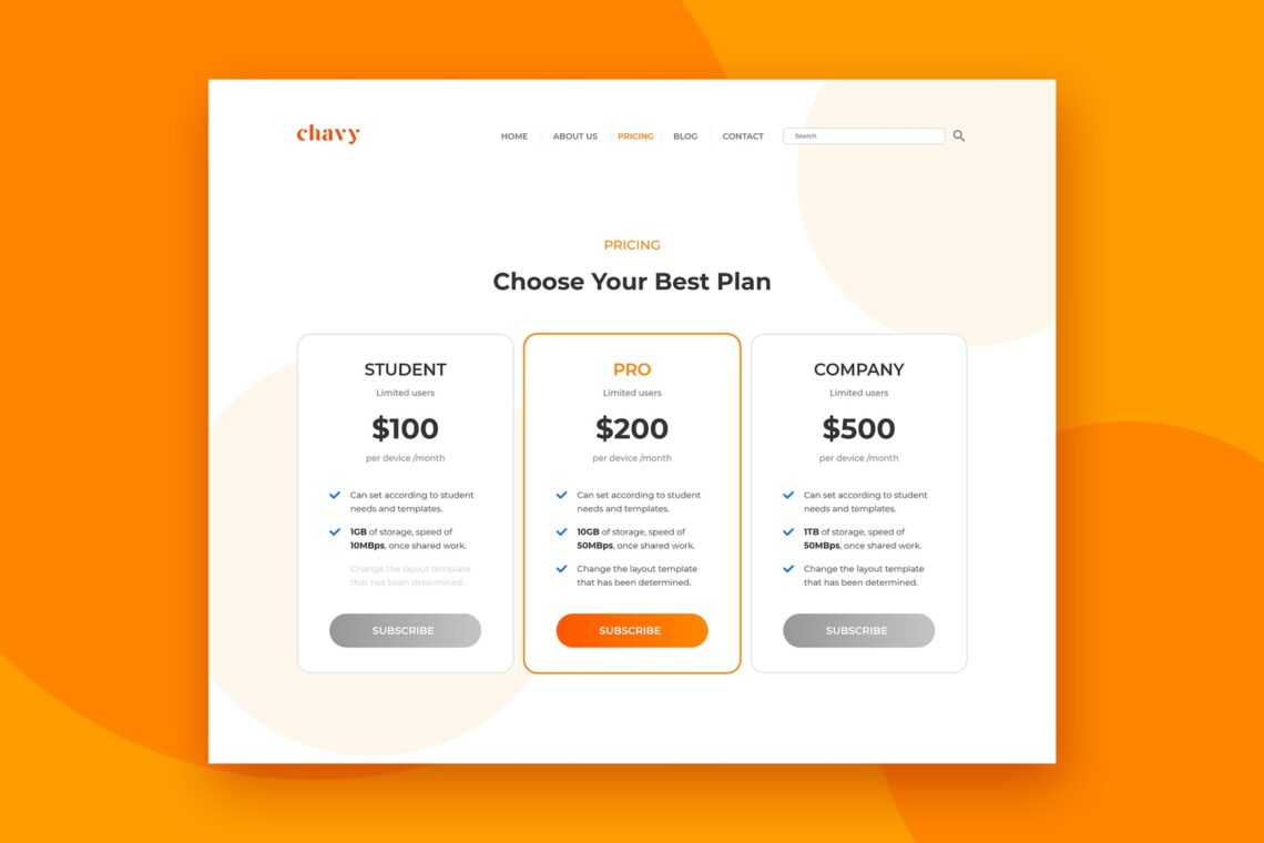 pricing table professional website package